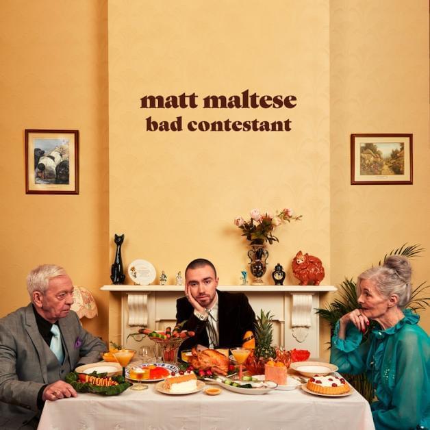 Album cover art for "Like a Fish" by Matt Maltese