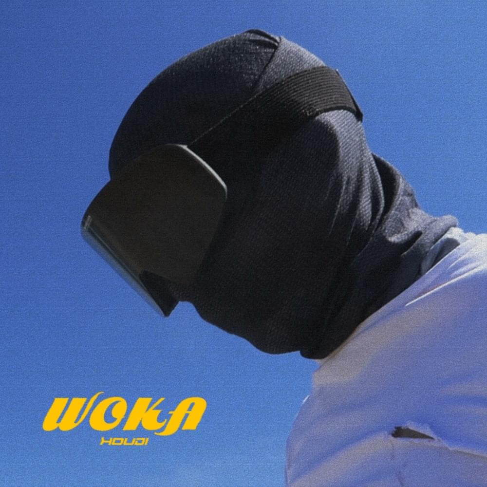 Cover image for WOKA