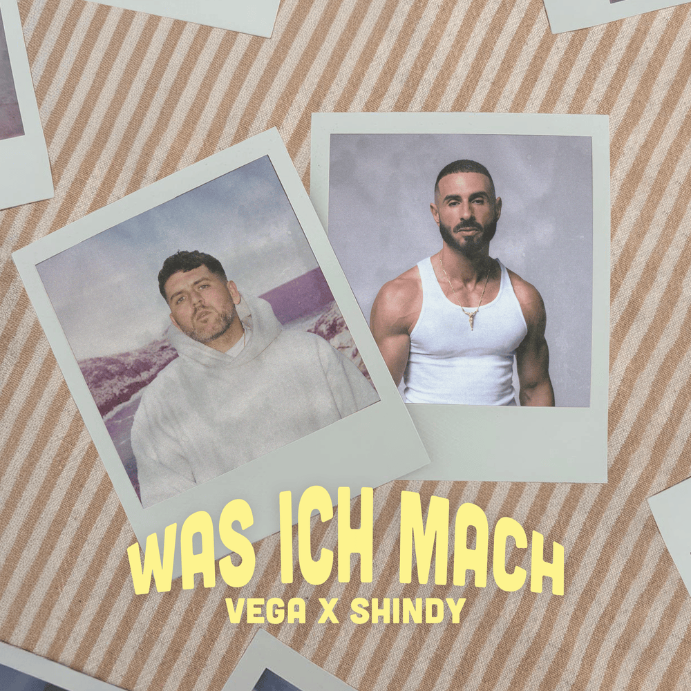 Album cover art for "Was ich mach" by Vega