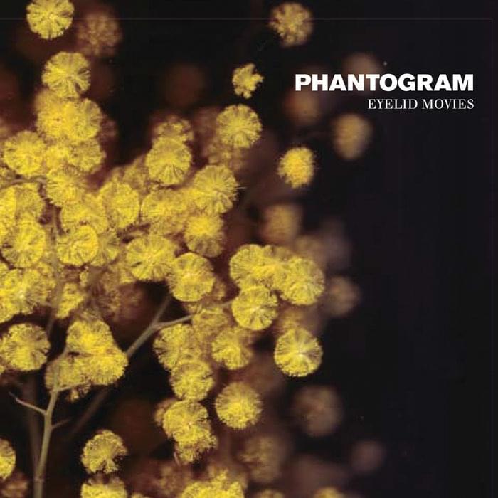 Album cover art for "Suzie" by Phantogram