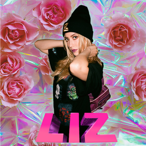 Album cover art for "Say U Would" by LIZ