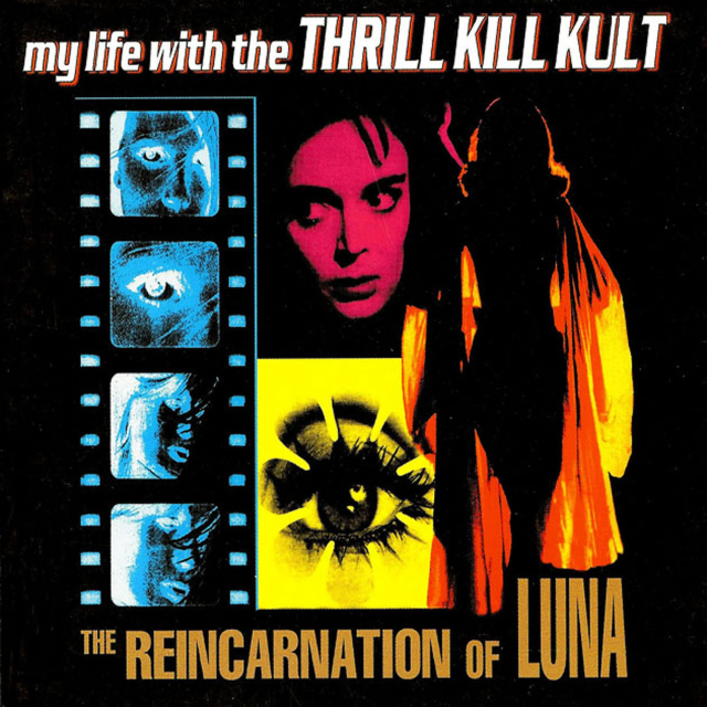 Cover image for The Reincarnation of Luna