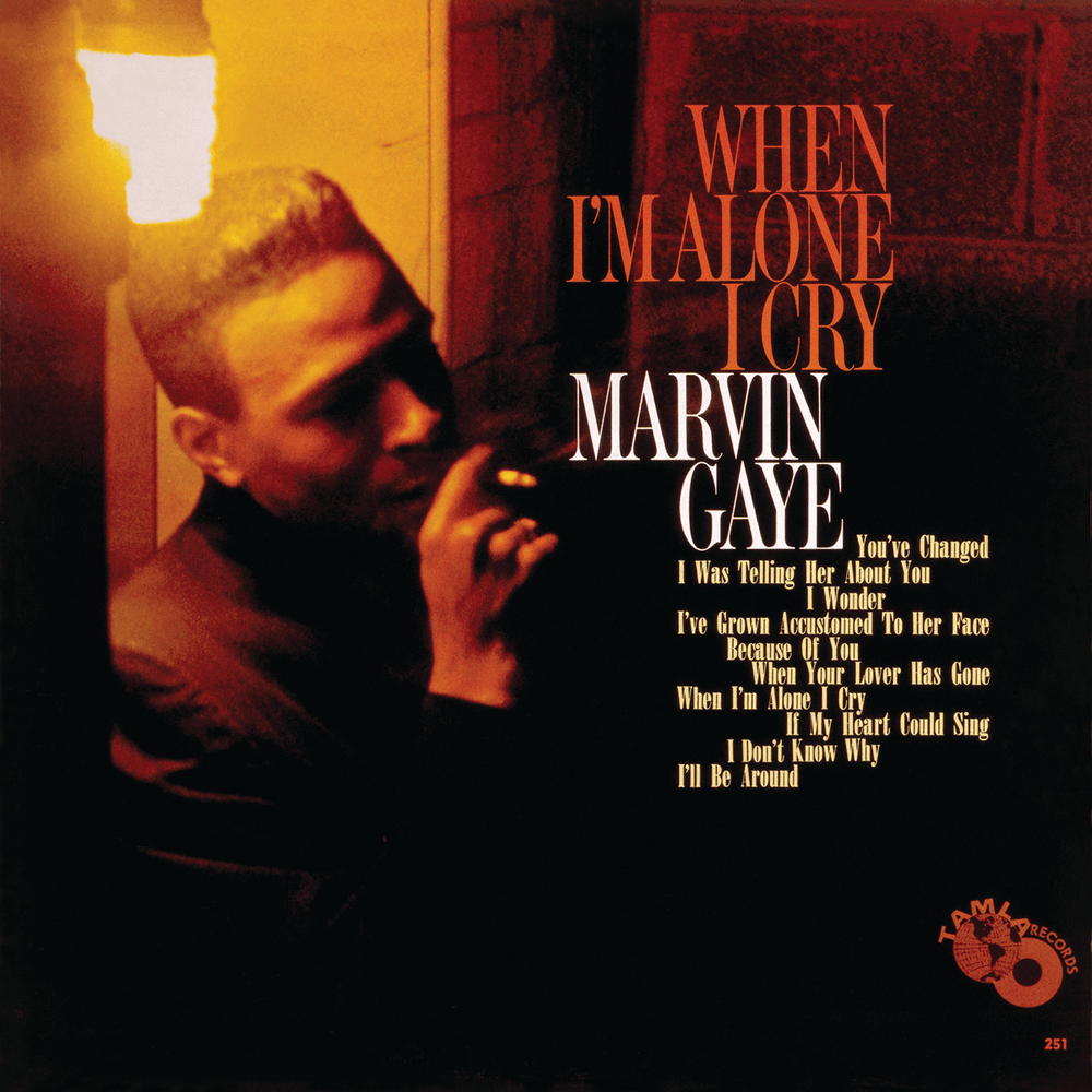 Album cover art for "I’ve Grown Accustomed to Her Face" by Marvin Gaye
