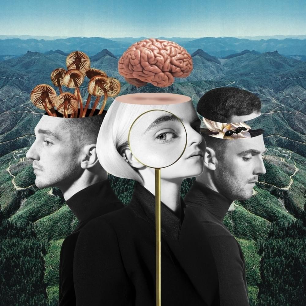 Cover image for Clean Bandit - What Is Love? (Tradução em Português)