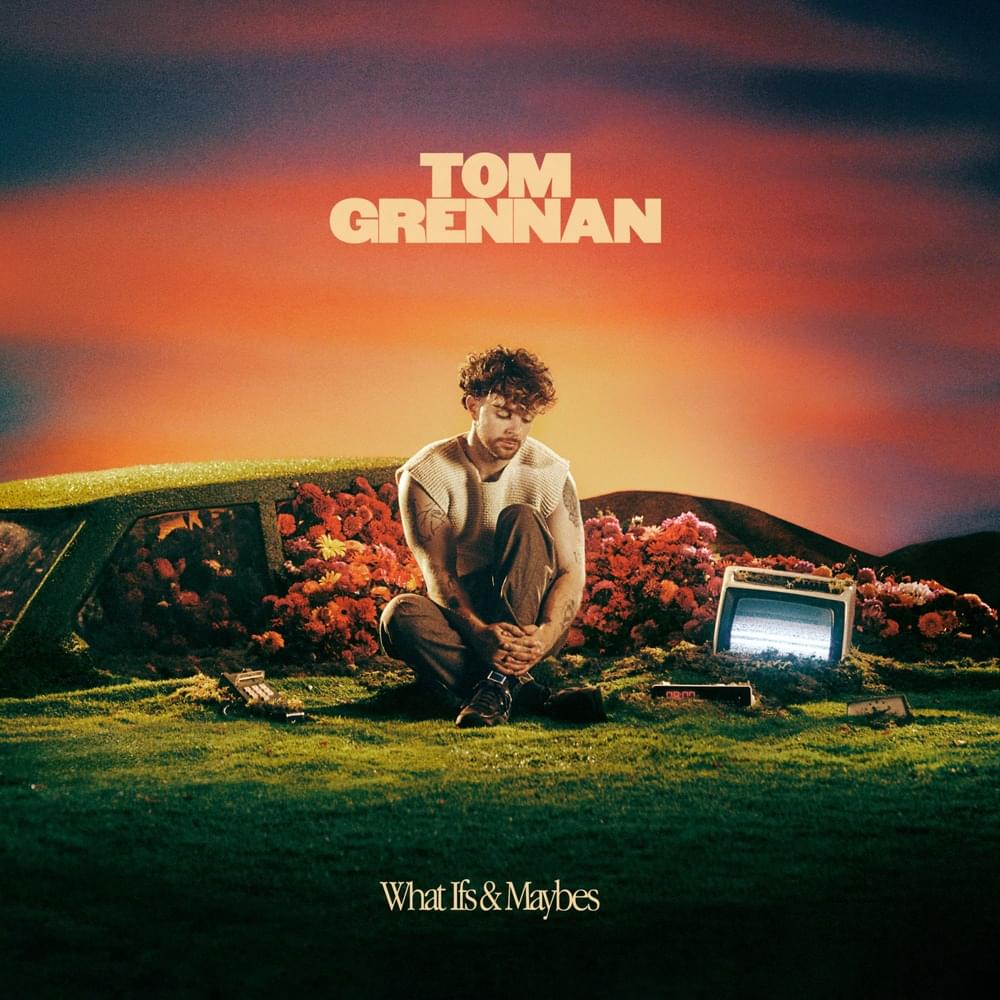 Album cover art for "Problems" by Tom Grennan