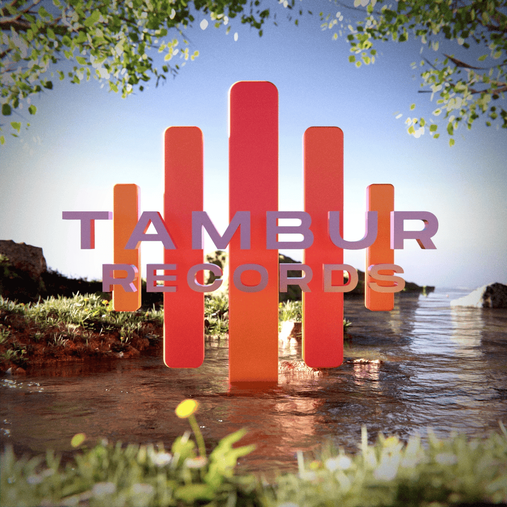 Cover image for Tambur