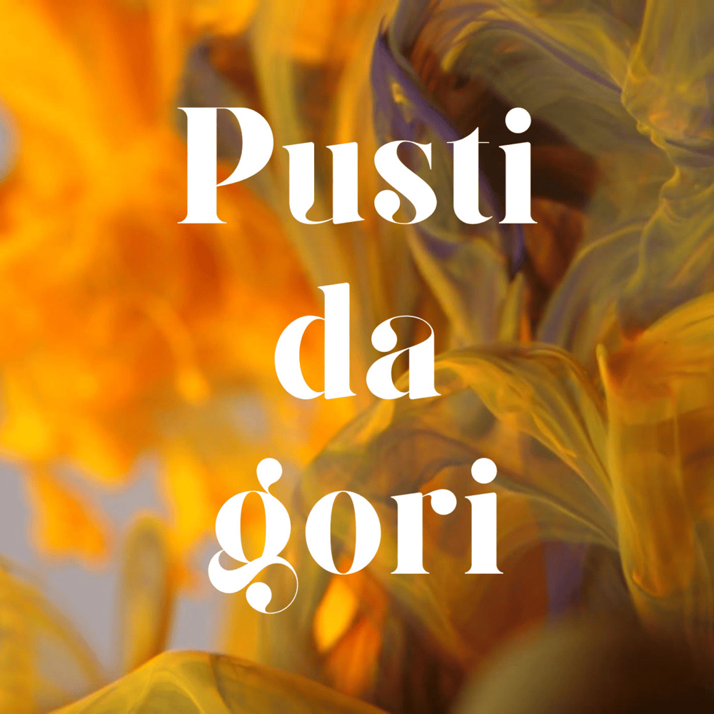 Album cover art for "Pusti, da gori" by Žan Videc