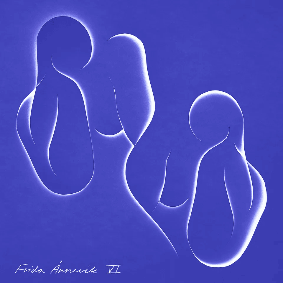 Cover image for VI