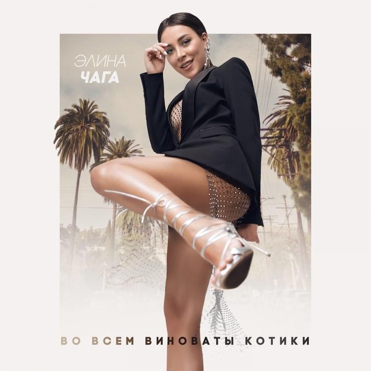 Album cover art for "Во всём виноваты котики (Vo vsem vinovaty kotiki)" by Элина Чага (Elina Chaga)
