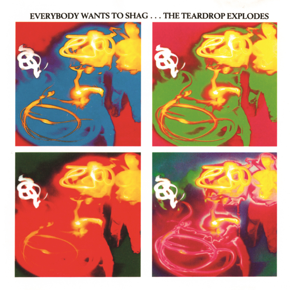 Ouch Monkeys by The Teardrop Explodes
