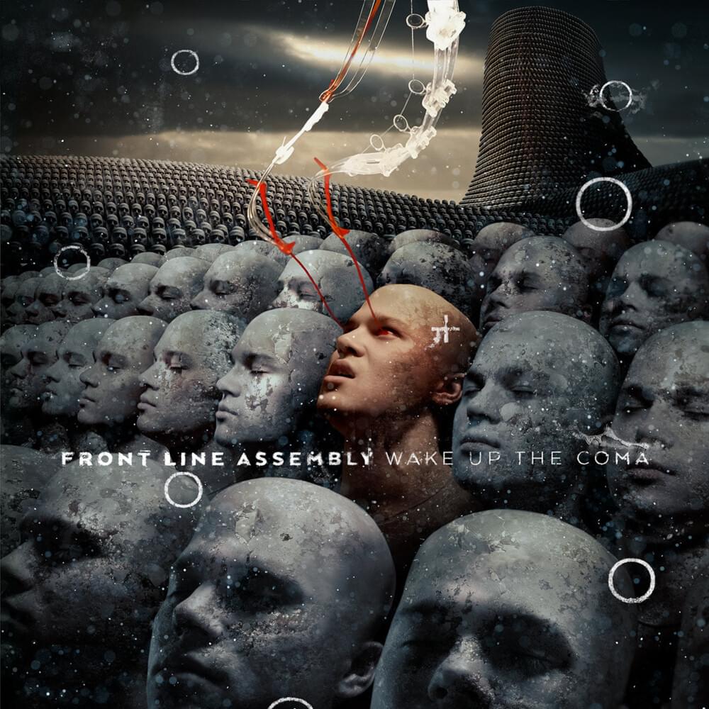 Cover image for Wake Up the Coma
