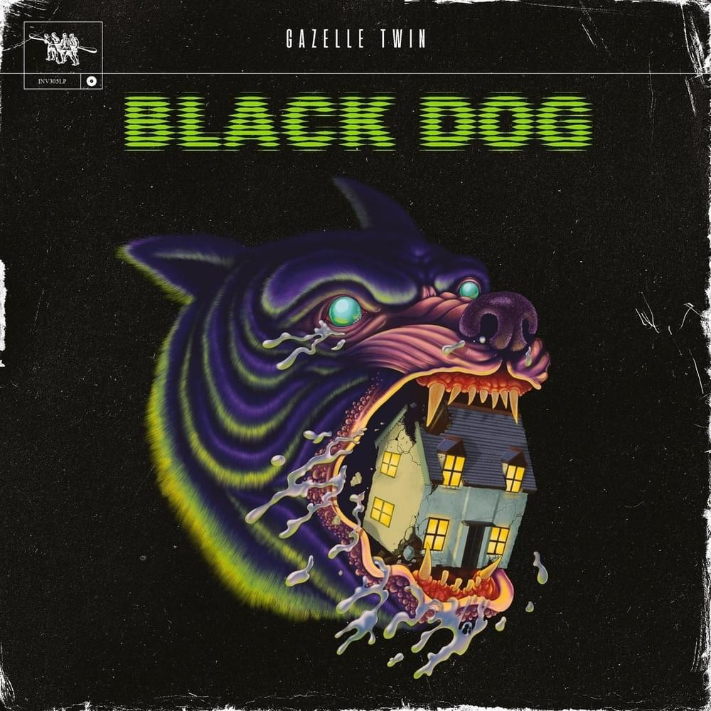 Cover image for Black Dog