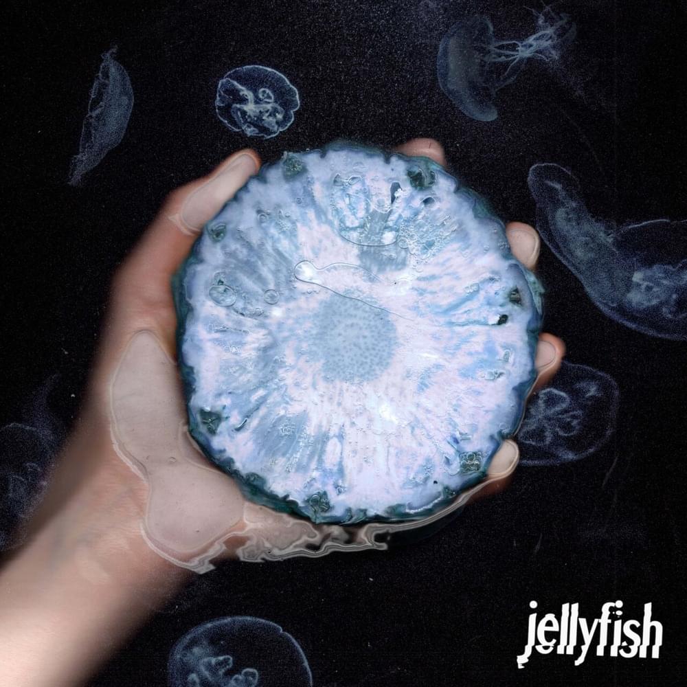 Jellyfish by Lizzie Esau
