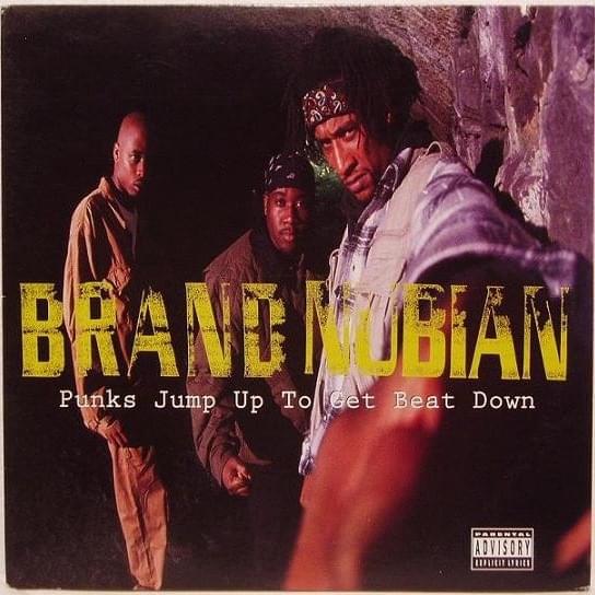 Cover image for Punks Jump Up To Get Beat Down (Remixes)