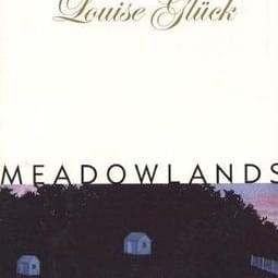 Cover image for Meadowlands