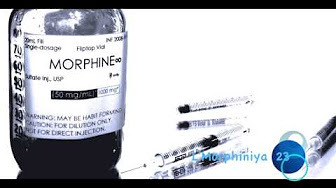 Album cover art for "L’Morphiniya 23" by L’Morphine