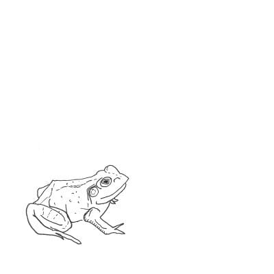 Bull Frogs Croon: ii. The Darkness by Aoife O’Donovan