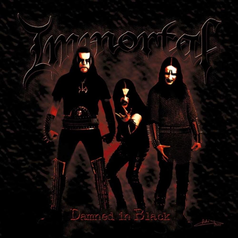 Cover image for Damned in Black