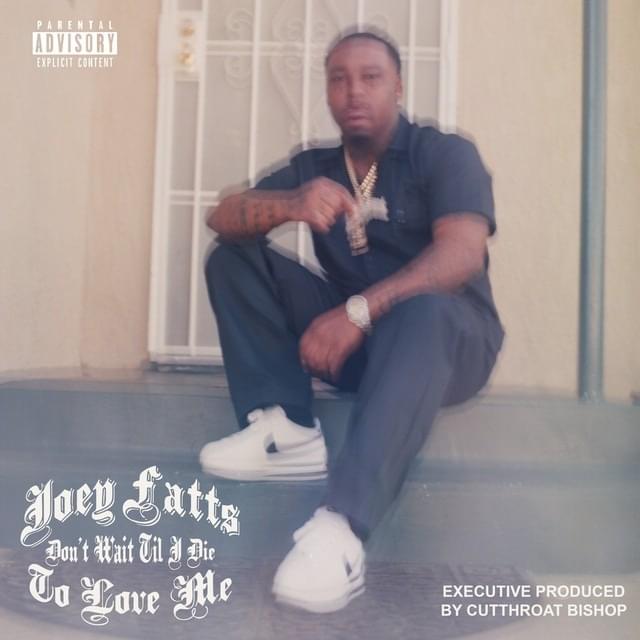 Album cover art for "Won’t Go" by Joey Fatts & Blxst