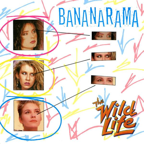 Album cover art for "The Wild Life" by Bananarama