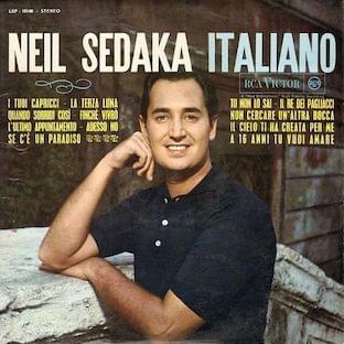 Cover image for Italiano