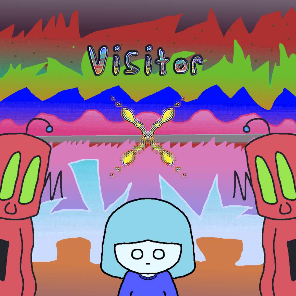 Cover image for VISITOR