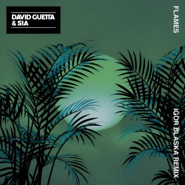 Album cover art for "Flames (Igor Blaska Remix)" by David Guetta