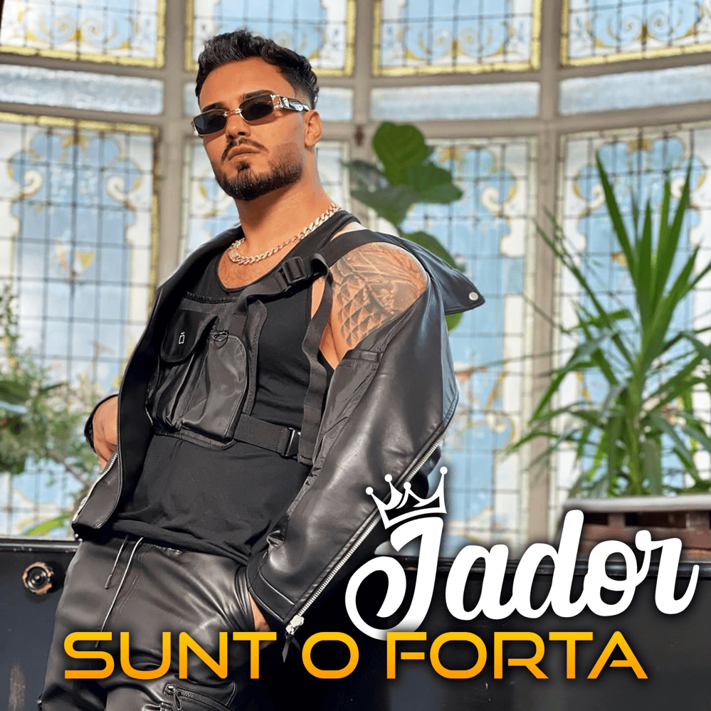 Cover image for Sunt o forță