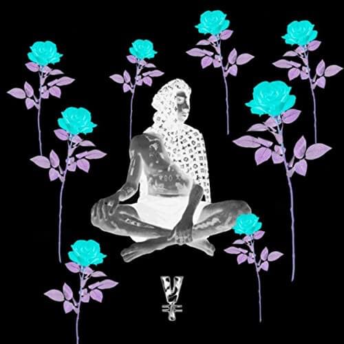Cover image for Voodoo