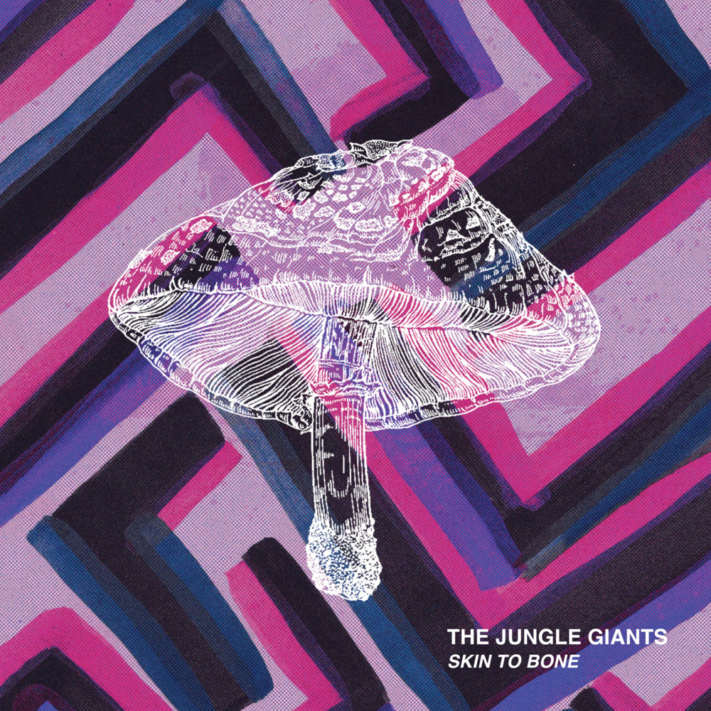Album cover art for "Skin to Bone" by The Jungle Giants