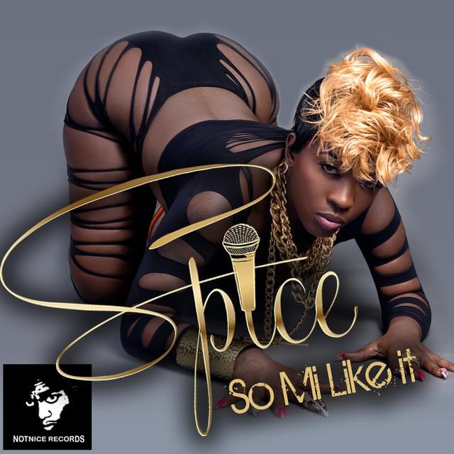 So Mi Like It by Spice