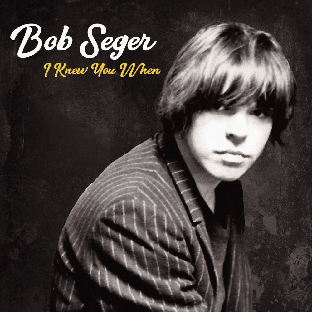Cover image for I Knew You When (Deluxe)