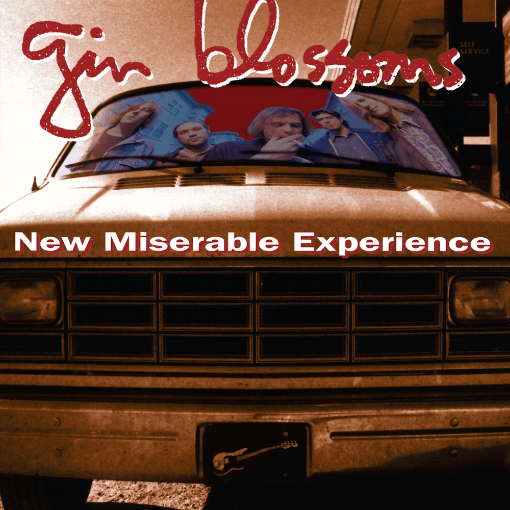 Album cover art for "29" by Gin Blossoms