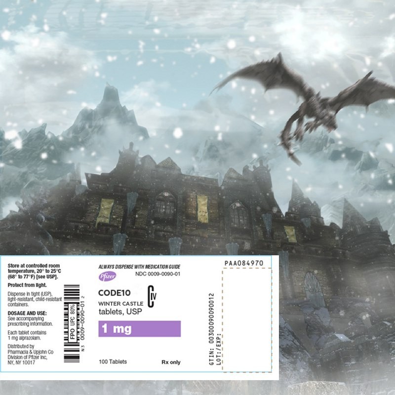Cover image for WinterCastle