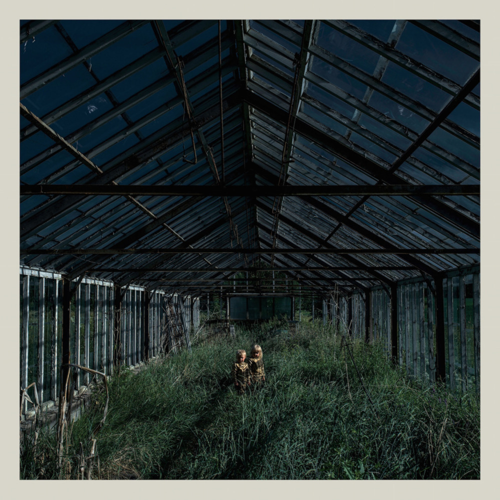Cover image for Dealer