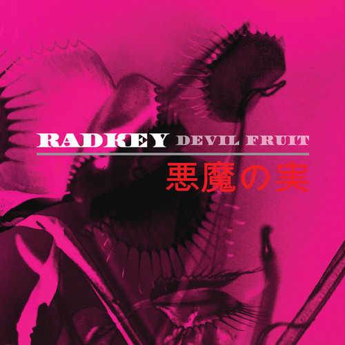 Little Man by Radkey