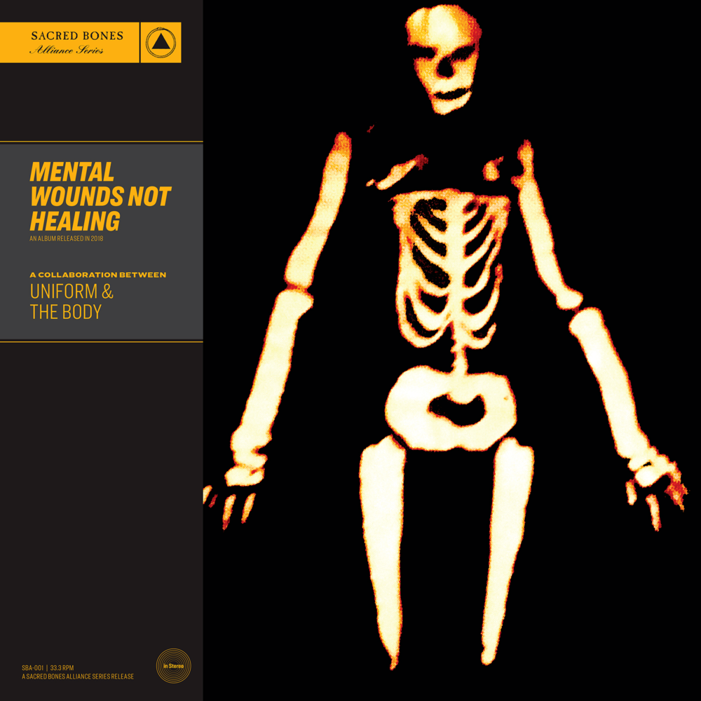 Cover image for Mental Wounds Not Healing