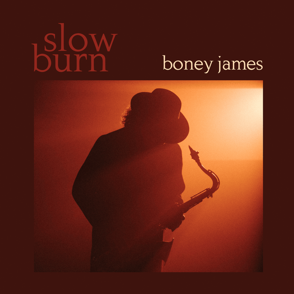 Cover image for Slow Burn