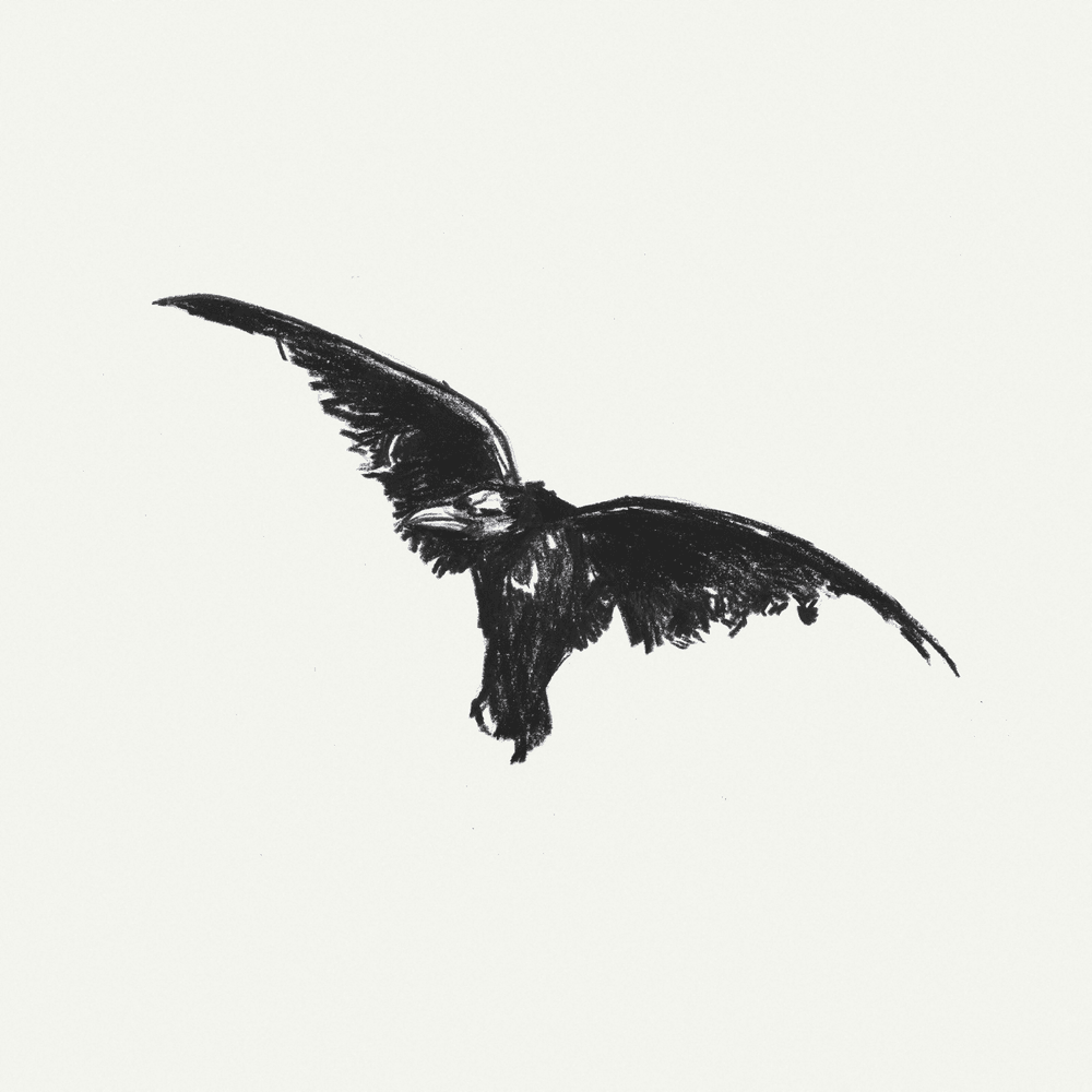 Cover image for Kid Krow, Decomposed (5 Year Anniversary)