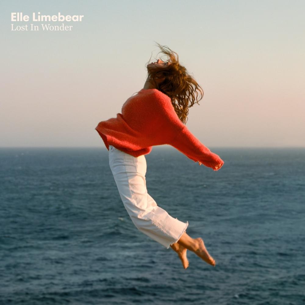 Cover image for Lost In Wonder
