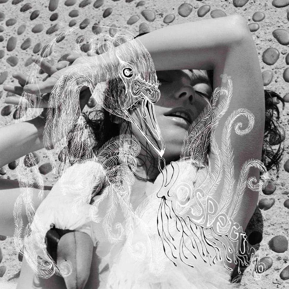 Cover image for Vespertine (Japanese Edition)