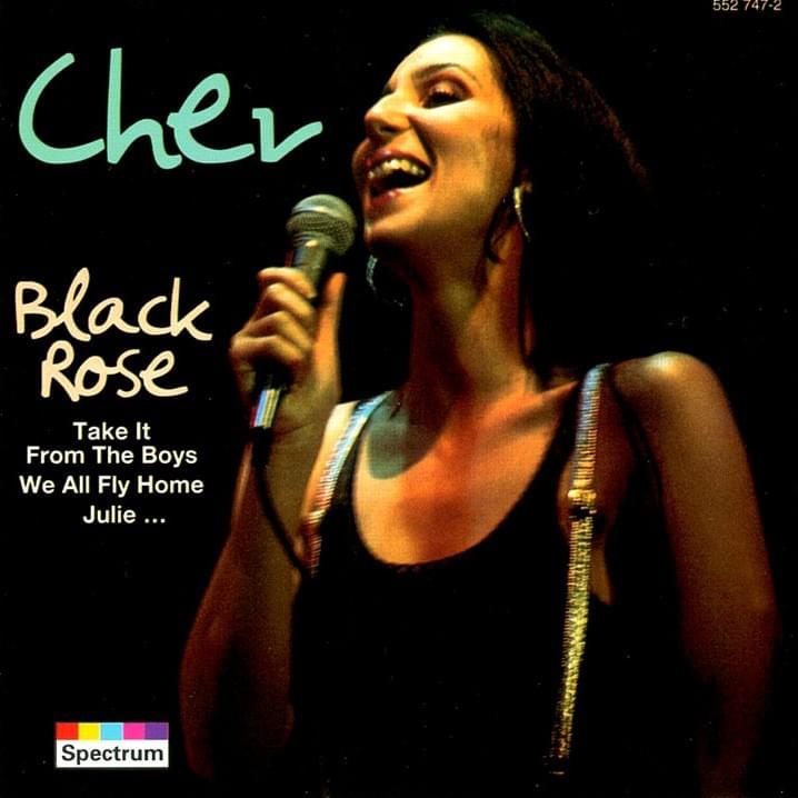 Album cover art for "Young and Pretty" by Cher