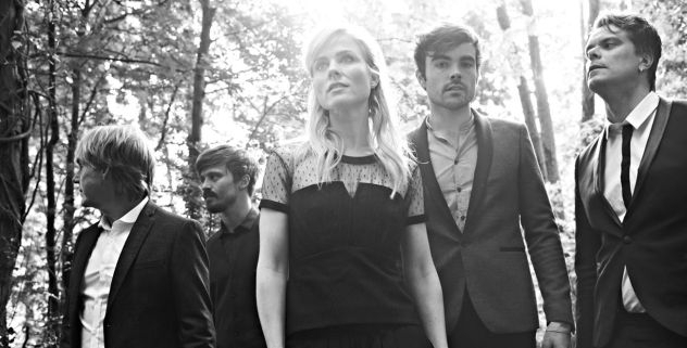 The Common Linnets Profile Picture Photo of The Common Linnets