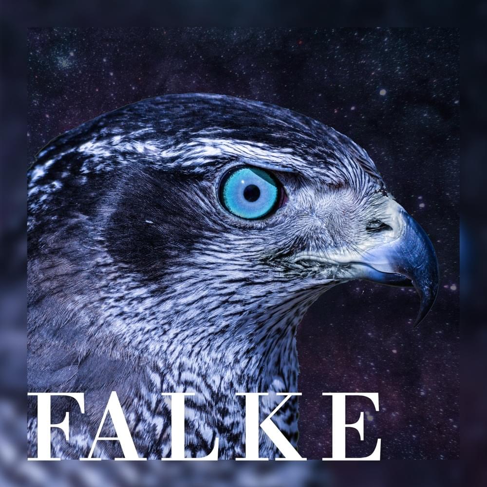 Album cover art for "Falke" by Cr7z