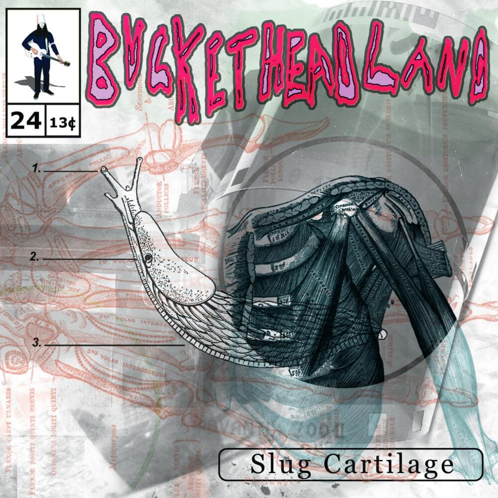 Zebra Stripe by Buckethead