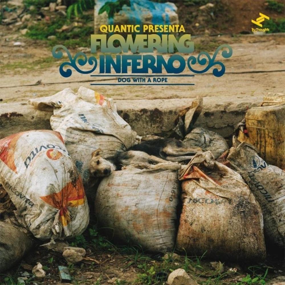 Cumbia Sobre El Mar by Quantic