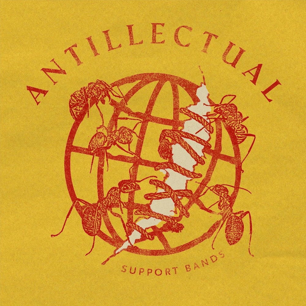 Album cover art for "Support Bands" by Antillectual