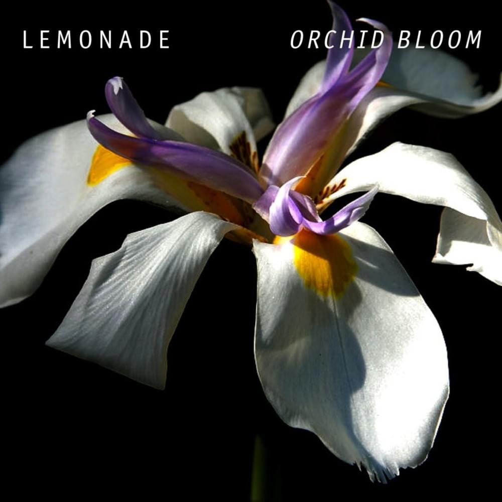 Album cover art for "Orchid Bloom" by Lemonade
