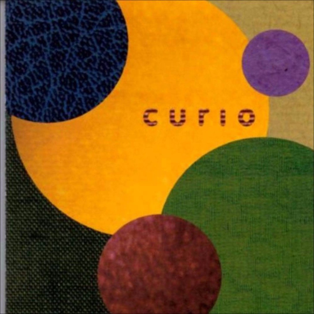 Cover image for Curio