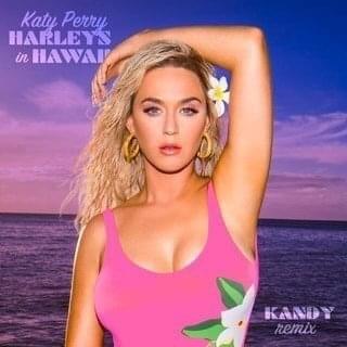 Cover image for Harleys In Hawaii (Remixes)